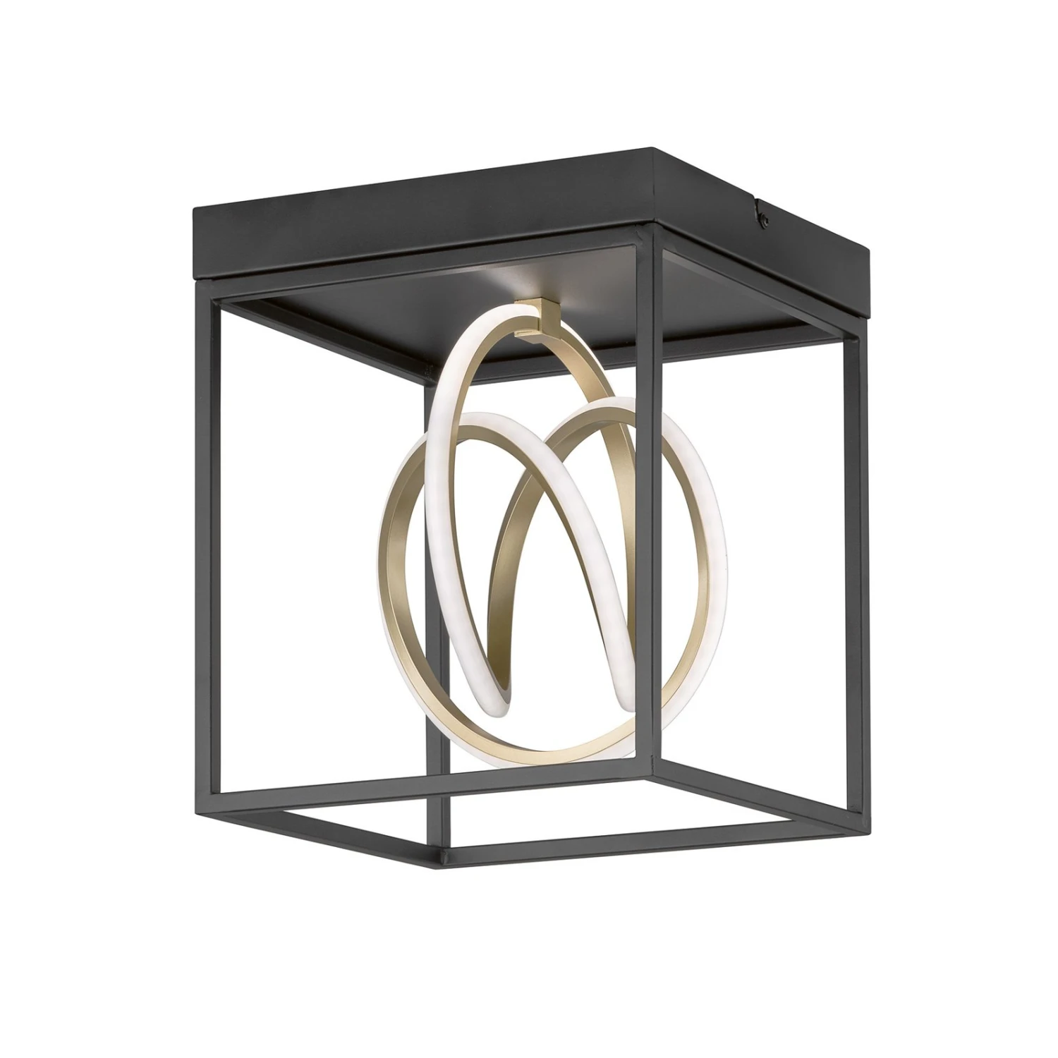 Plafón LED Gisi, CCT, 1 Luz 1 Plafón LED Gisi, CCT, 1 Luz