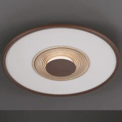 Lámpara LED De Techo Veit CCT Con Control Remoto -Fischer & Honsel 4581845 8