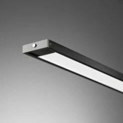 Lámpara Colgante LED Metz TW CCT Largo 160cm Negro -Fischer & Honsel 4581892 6